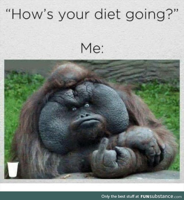 Hows your diet going!?