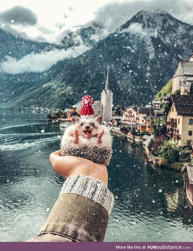 A snowy day in Hallstatt, Austria