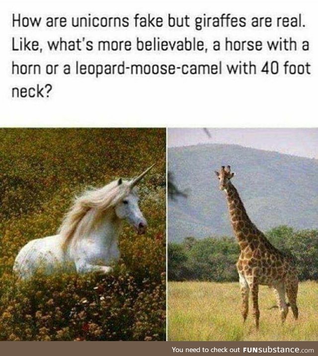 Leopard-moose-camel