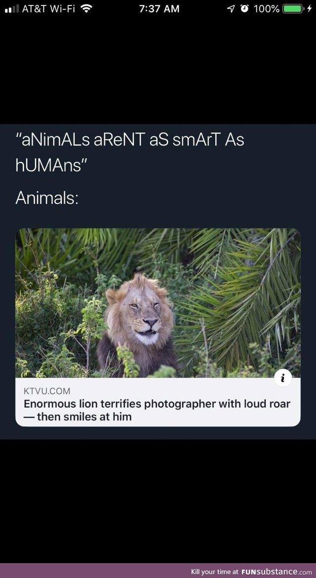 Humans are smarter than animals