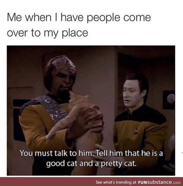 Wanna meet the kitty?