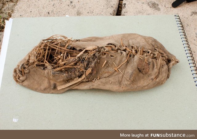 5,500 year old shoe preserved by sheep dung and low humidity