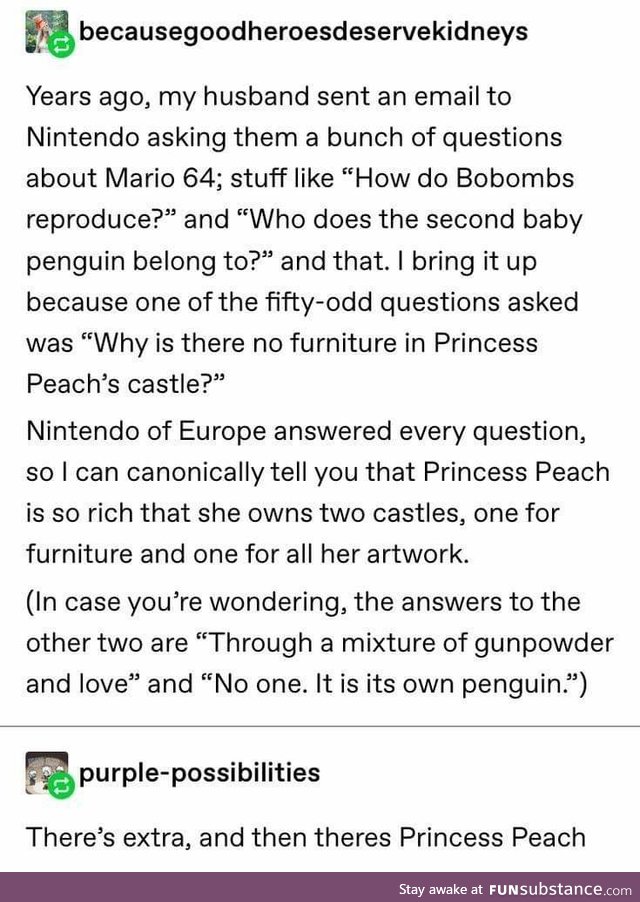 Princess peach lived the good life