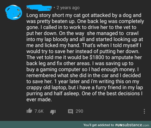 This YouTubers sacrifice for his beloved pet