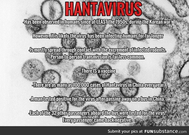 Hantavirus