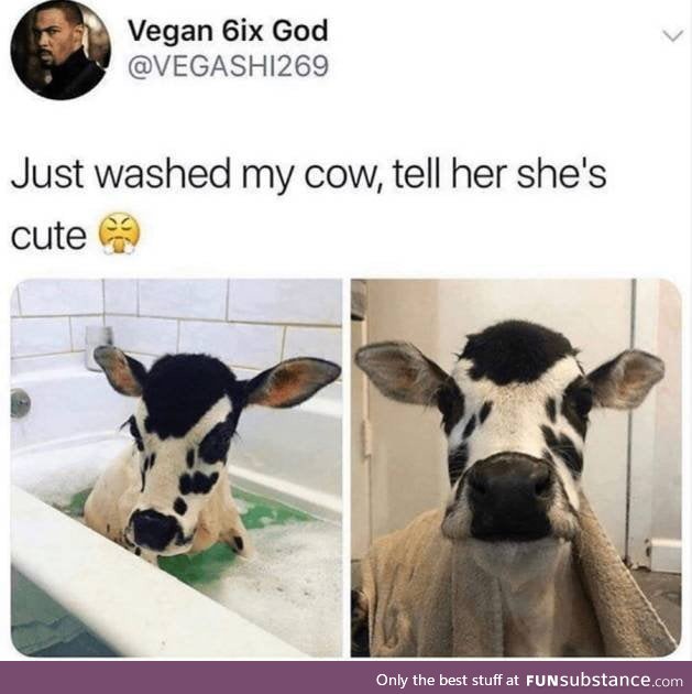 Clean moo