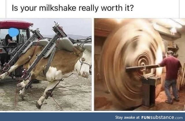 Think twice before shaking cows