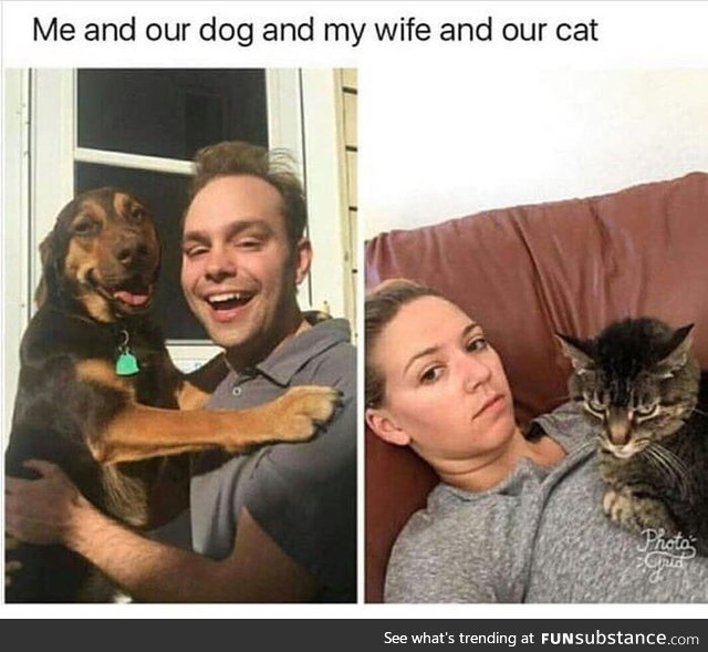 Cat/dog title