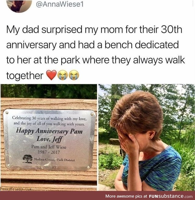 Anniversary Park Bench