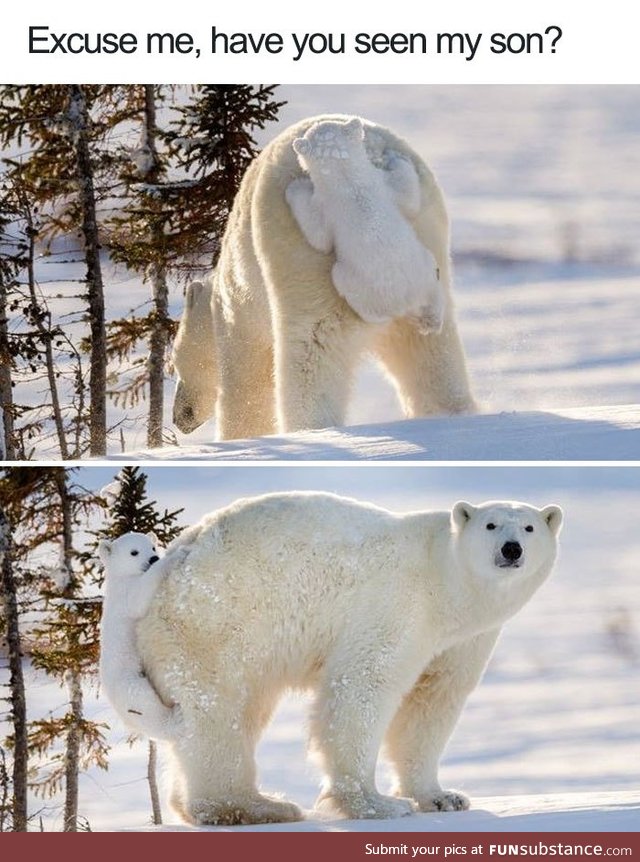 Have you seen her son? She can't bear to be apart from him