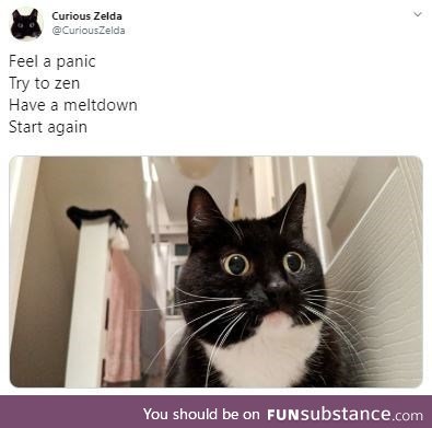 Zelda felt a panic, had an overreact. Seems my spirit animal Might just be this cat