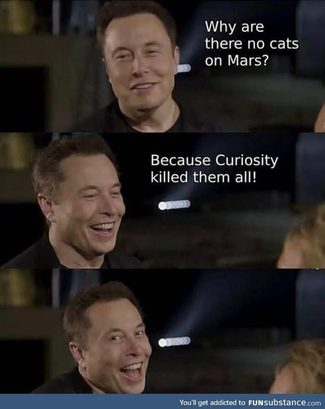 In Musk we thrust