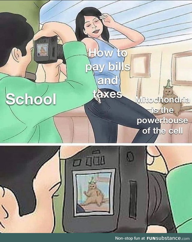 School sucks