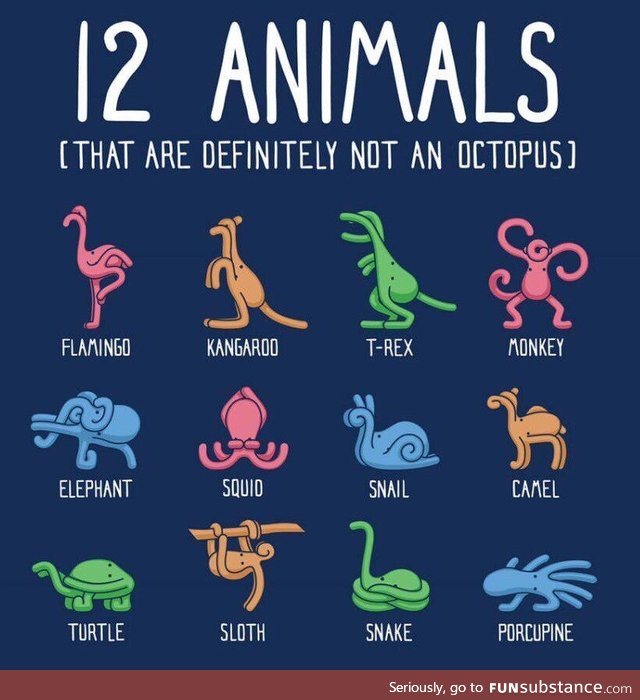 12 Animals