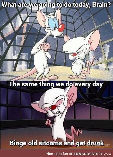 Pinky & the Brain, 2020 edition