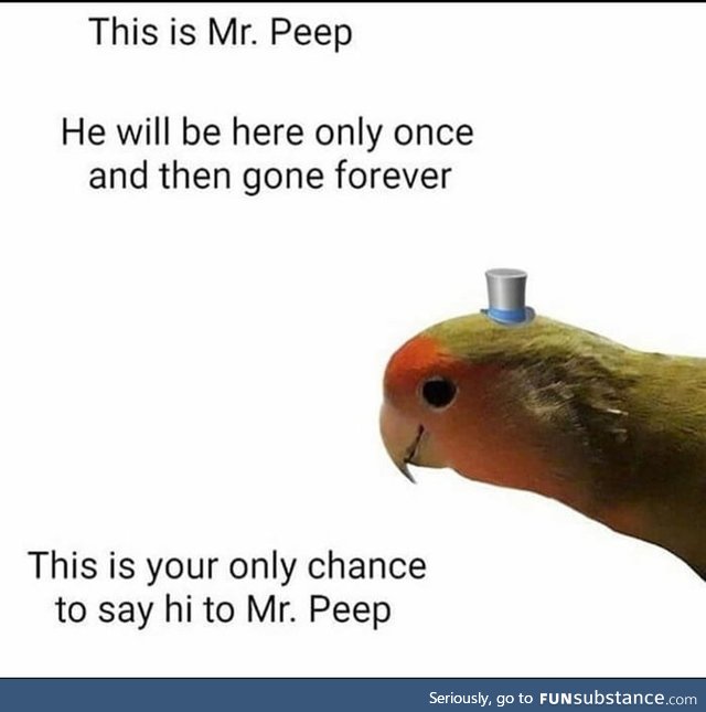 Say hi to Mr.Peep