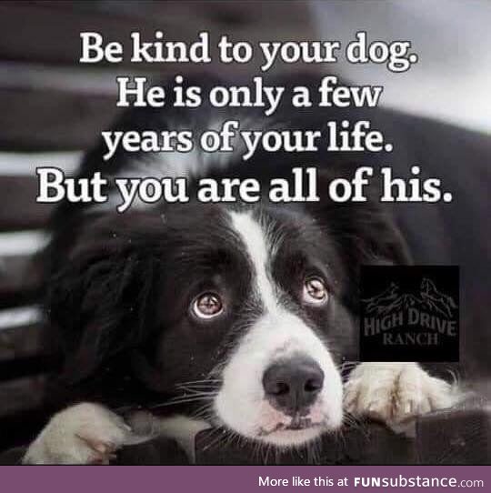 Be kind to your dog