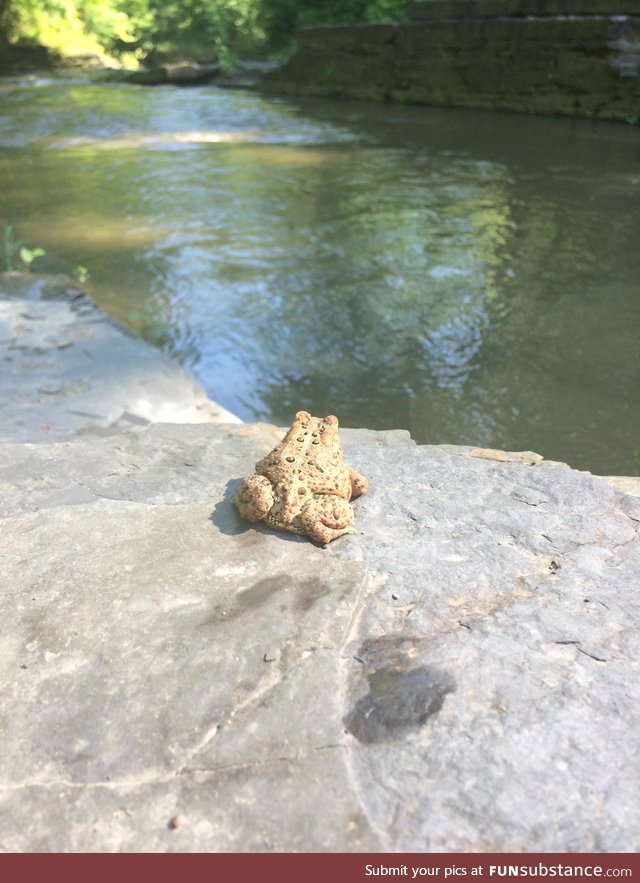 Froggo Fun #149 - "Everything the light touches..."