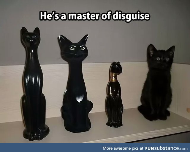 He's a master of disguise