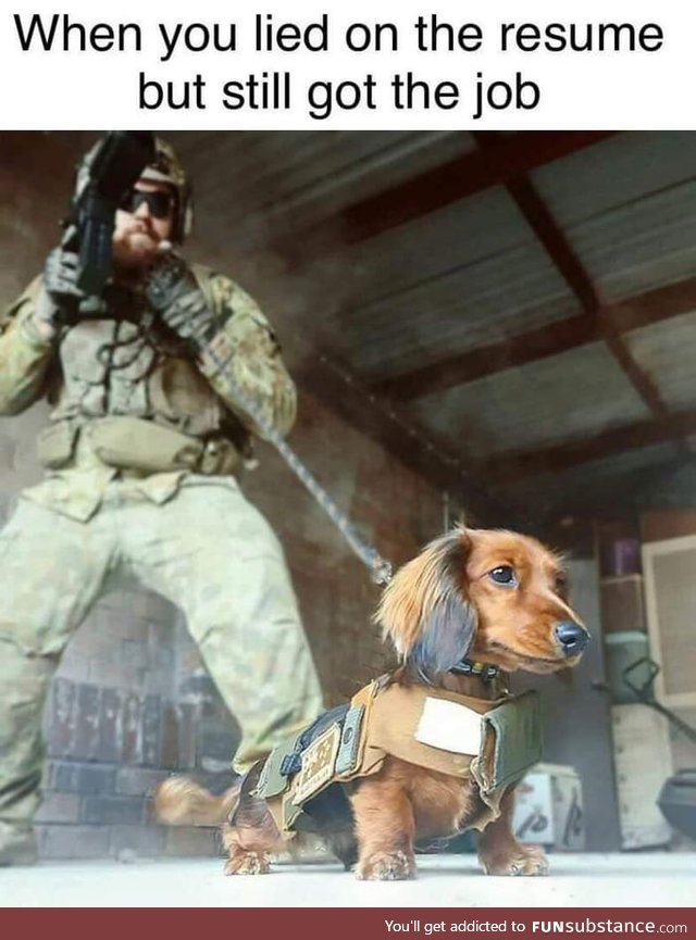 Dogs of war