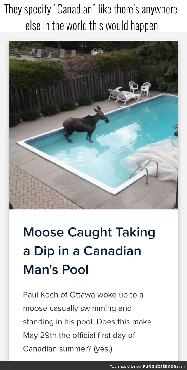 If the moose goes in the pool it means we get 6 more weeks of summer