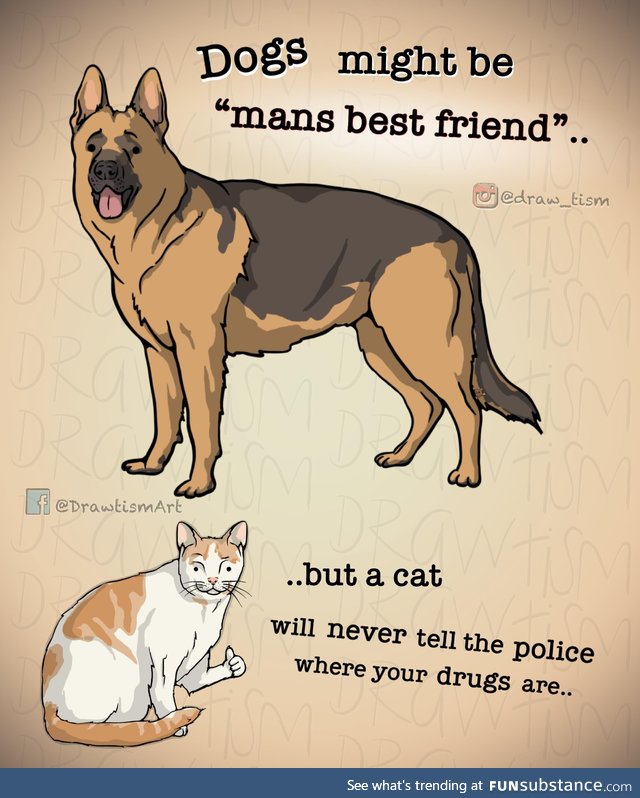 Loyalty in pets