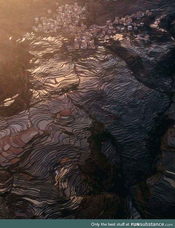 ITAP of some rice fields in China