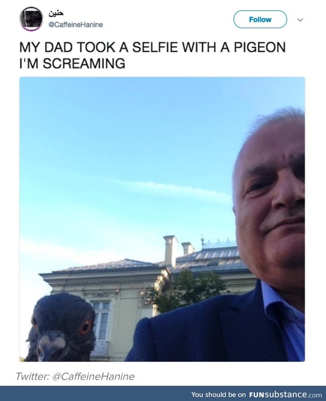 Excellent selfie skills