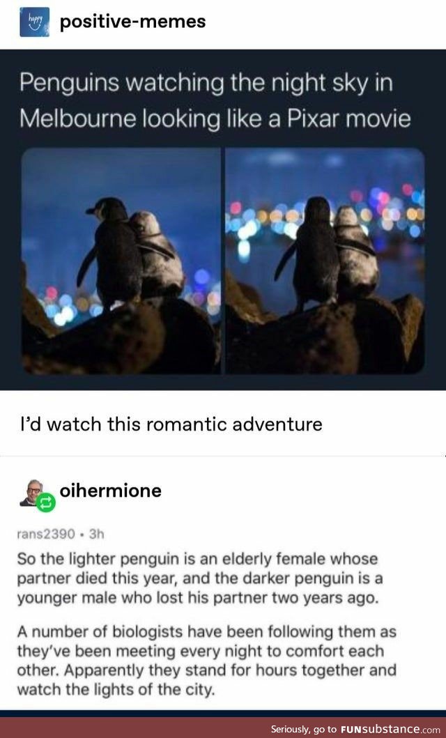 Penguins