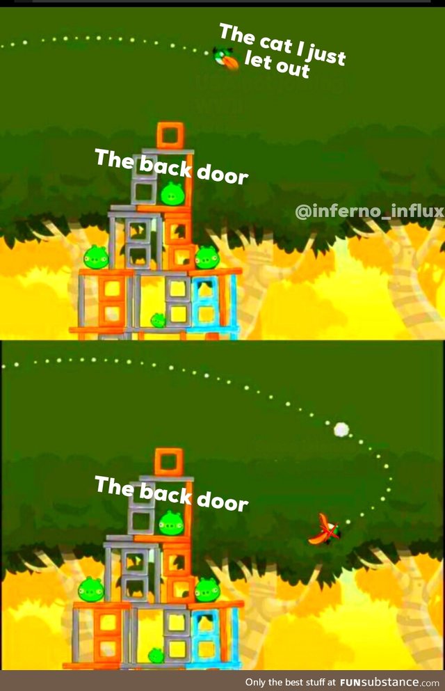 Angry birds meme