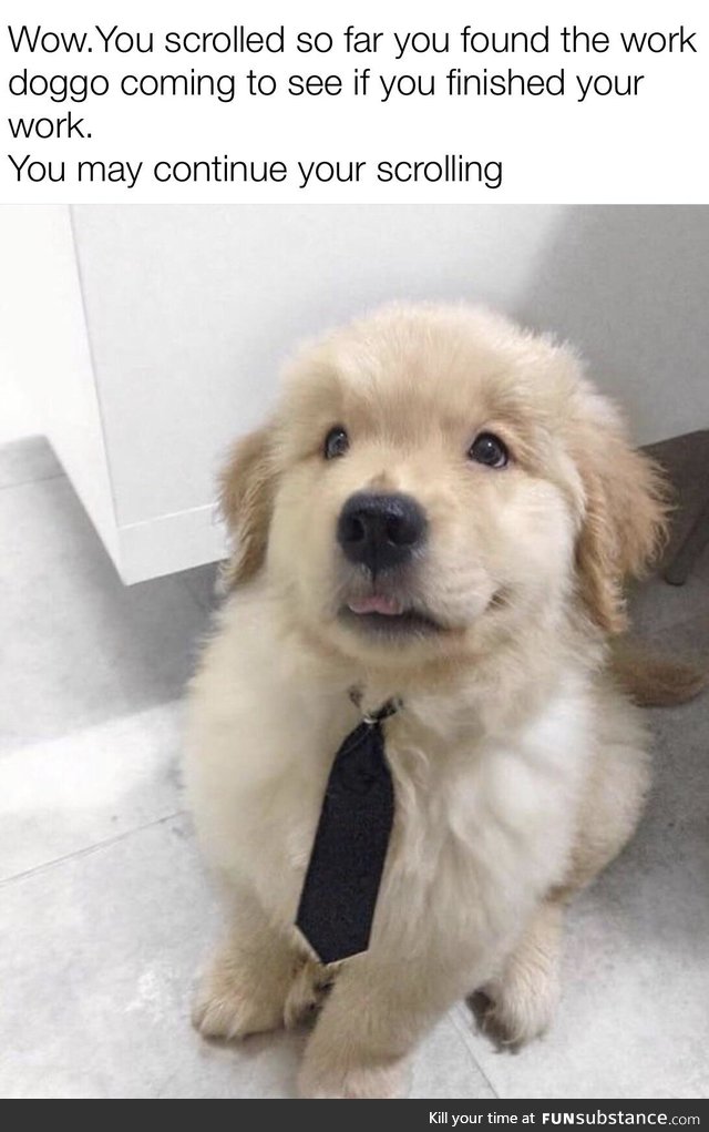 Work pupper