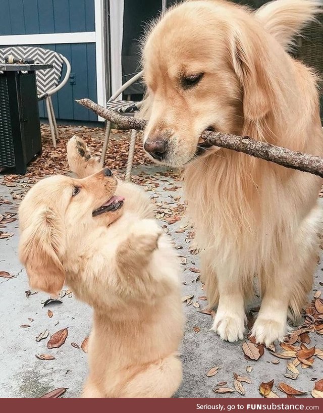 Aspiring branch manager