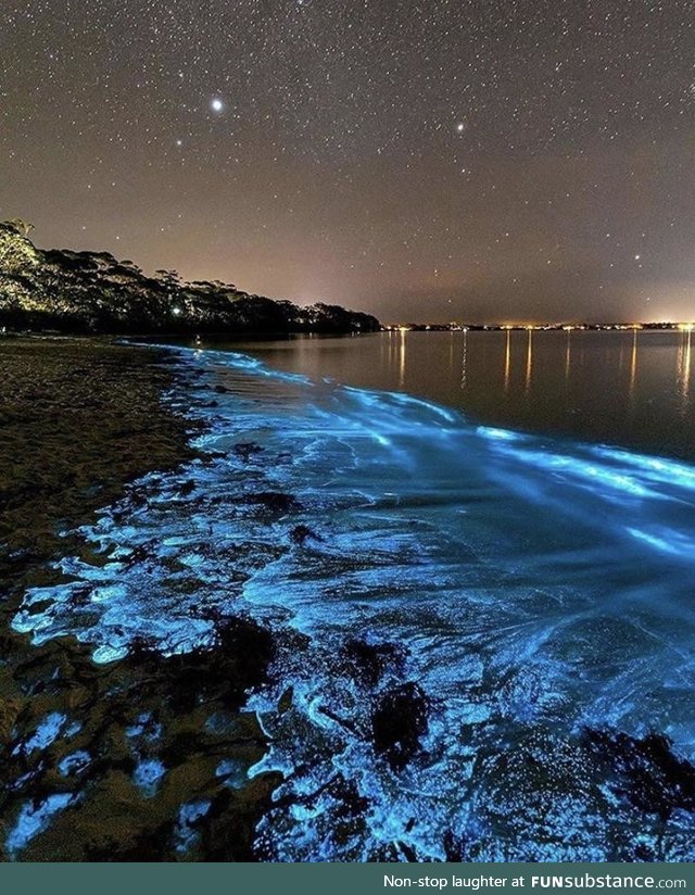 Bioluminescence in Jervis Bay, Australia