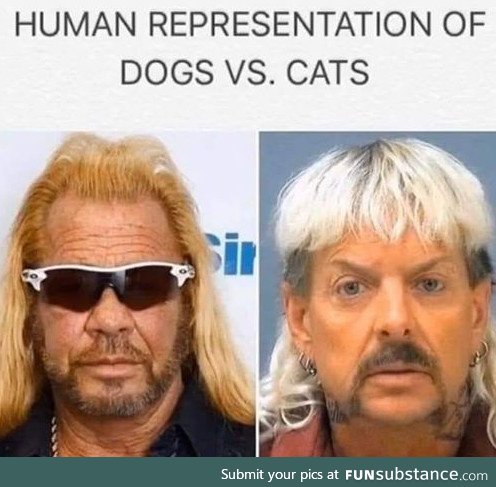 Dogs vs. Cats