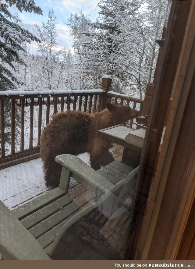 Easter bunny looks different in the mountains