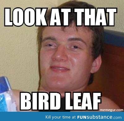 My friend couldn't think of the word "feather"