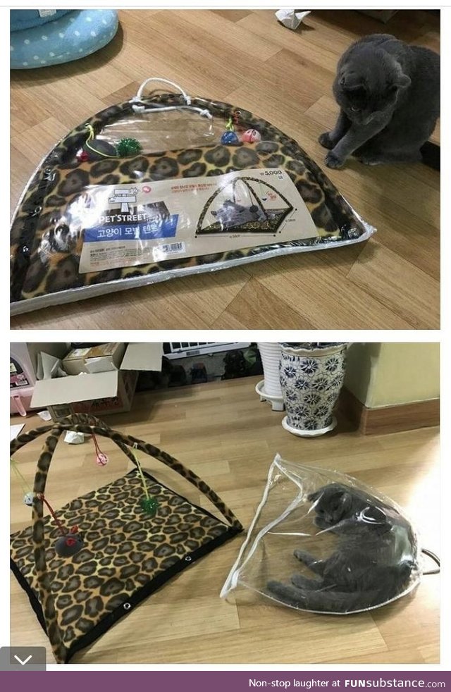 Cat tent