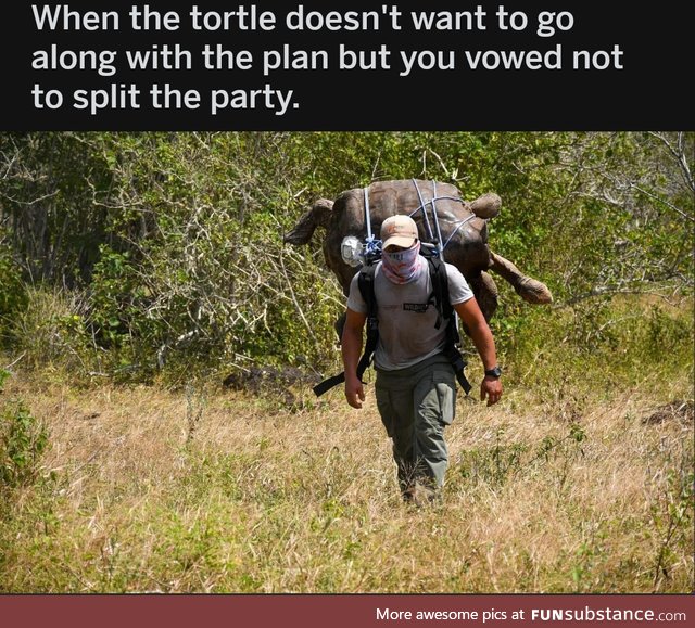 You're coming with us whether you like it or not, Turtleman