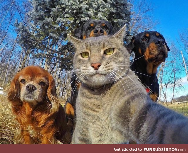 Family selfie