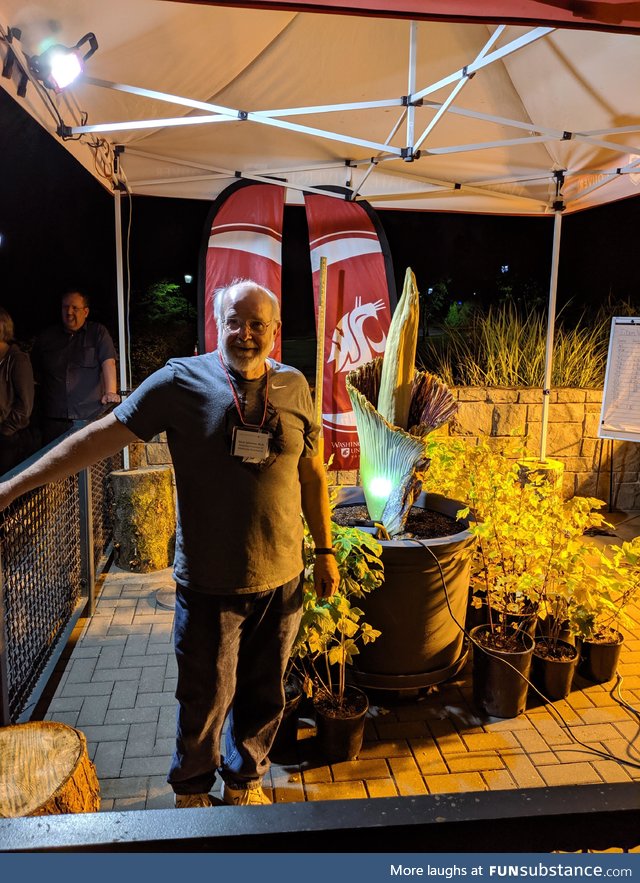 The Corpse flower at WSU is blooming under a full moon tonight after 17 yearsof waiting