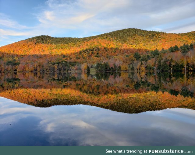 The leaves in VT right now