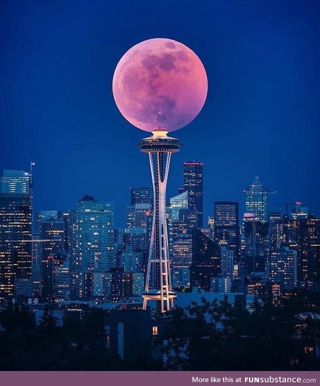 Full Blood Wolf Moon in Seattle ????