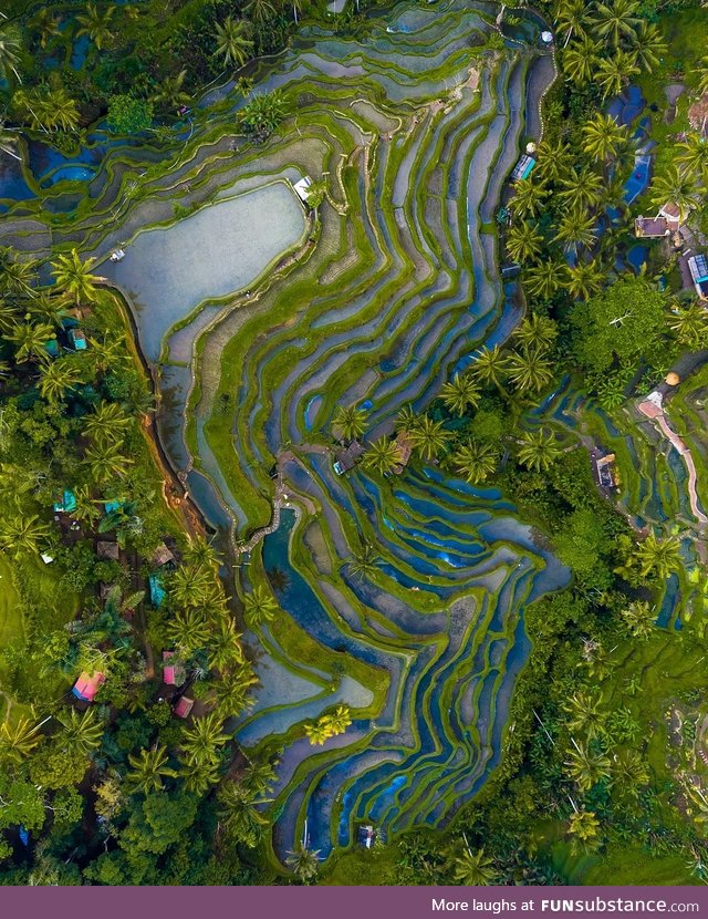 Phenomenal colors of Bali