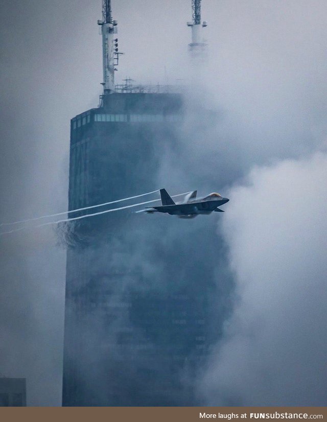 Raptor in Chicago