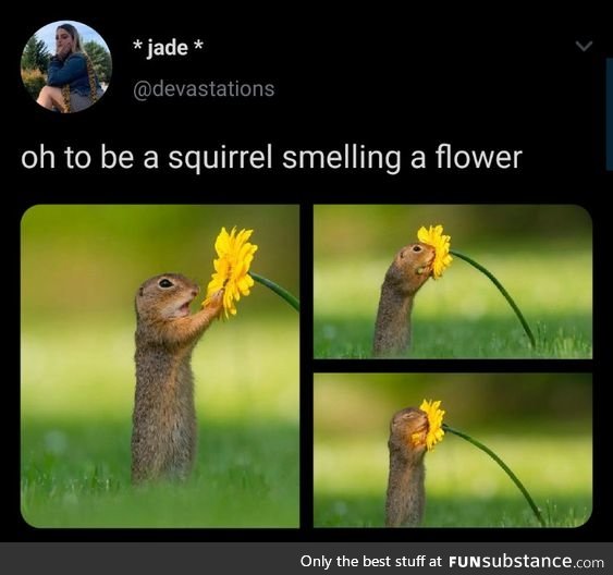 Remember to Smell a Flower Today