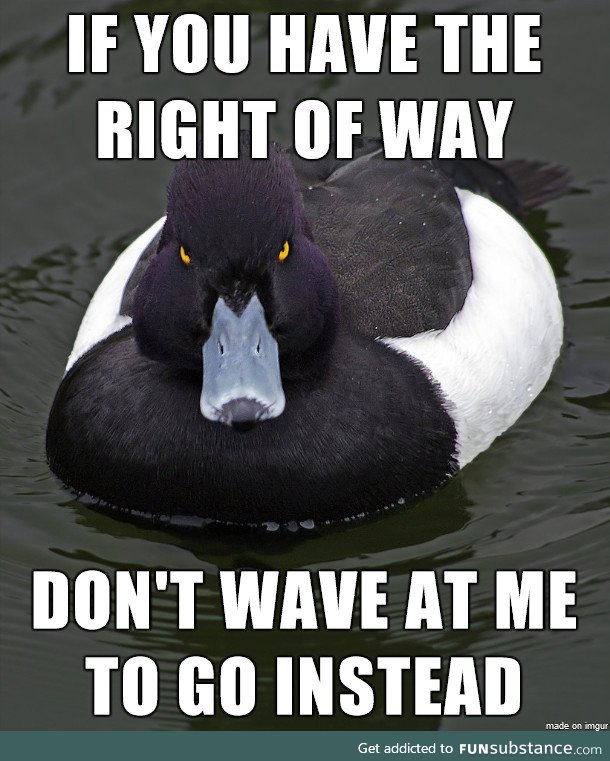 Motherf*cker, you are not being polite, you are putting everyone in danger!