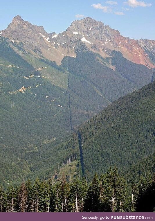 The Border of US and Canada, in case you were curious