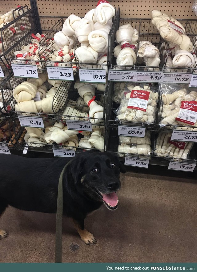 “Can we buy them all???”