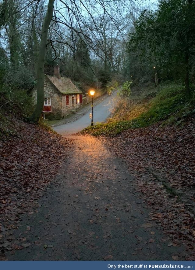 Light at the end of the lane