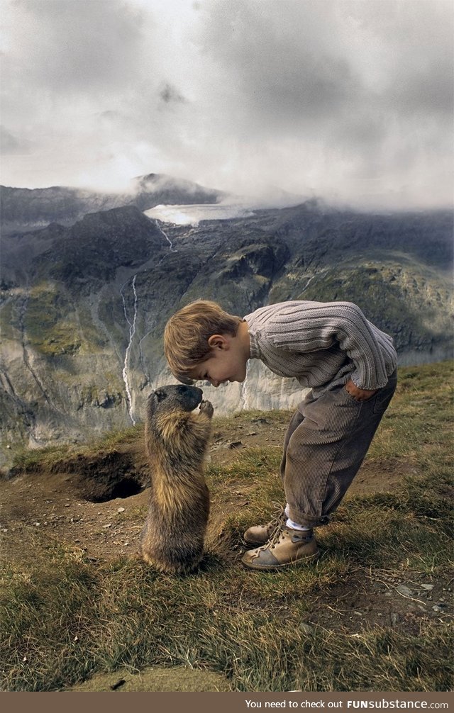 A Boy and a Marmot